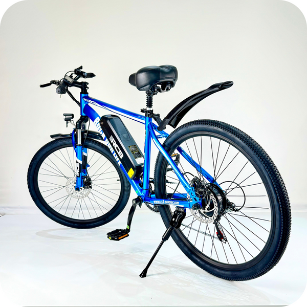 RCB RK15 – Elektrische Mountainbike | E BIKE CENTRE